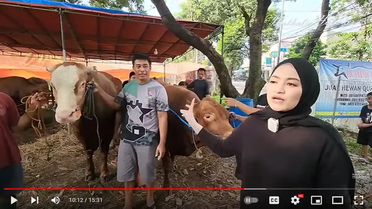 Nathalie Holscher Beli Sapi Kurban Tanpa Sule, Masukkan Nama Adzam dan Karyawan