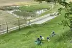 Petani-di-Ciamis.jpg