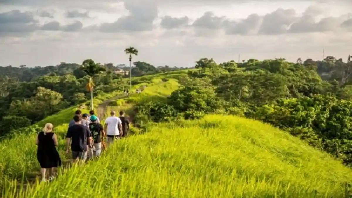 Pesona Bukit Campuhan, Tempat Jogging Turis Asing di Ubud Bali