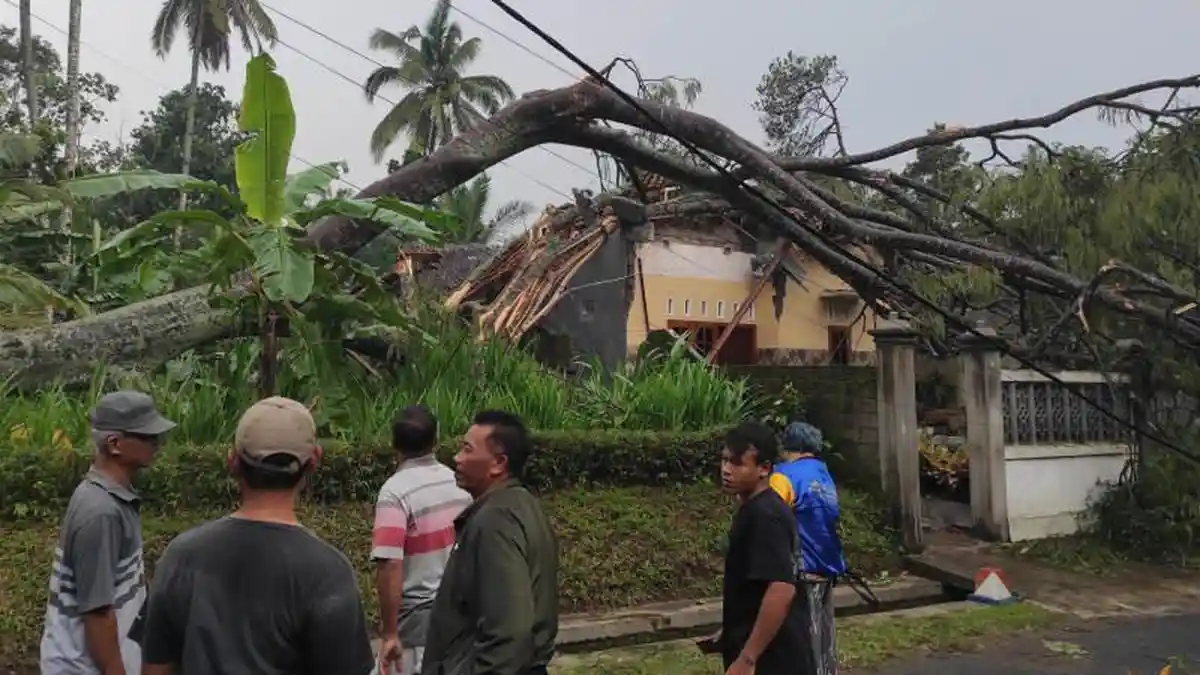 Angin Kencang Landa Modangan Blitar, Rumah Warga Hancur Tertimpa Pohon