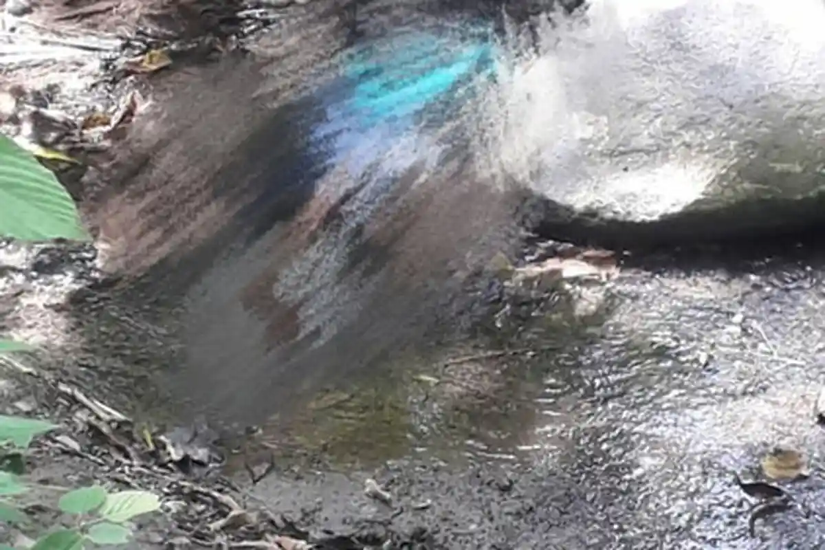 BREAKING NEWS: Warga Desa Manamas Ditemukan Tewas di Oelakaeb-TTU