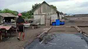 Petani-garam-di-Kusamba-Selasa-2342024-tidak-dapat-memproduksi-garam.jpg