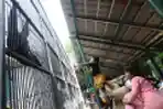 Taman Margasatwa Ragunan Diserbu Wisatawan