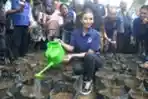 Manohara Odelia Pinot Caleg DPR RI