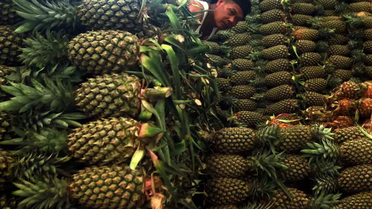 Seluruh Pasar di Sleman Baru Bersih dari Abu Kelud 23 Februari