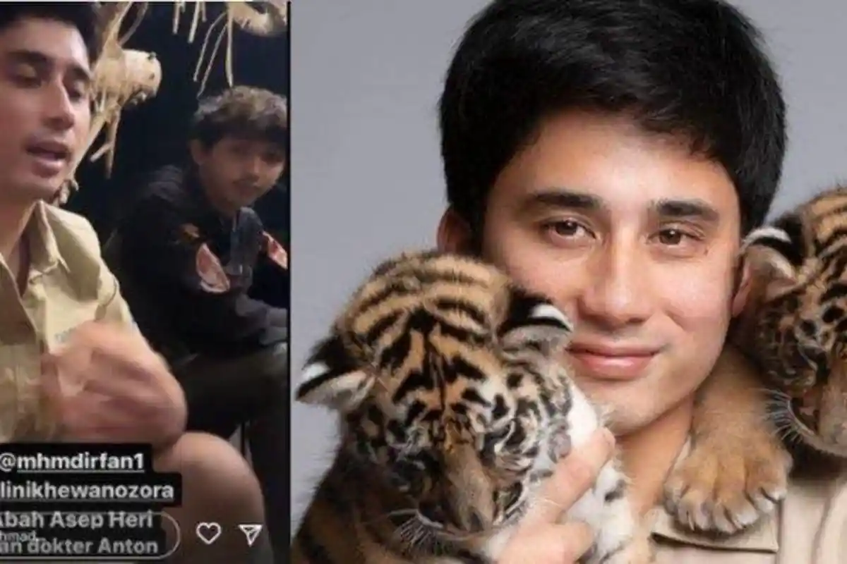Penyebab Sebenarnya Cenora Anak Harimau Alshad Mati, Dugaan Dokter Tuai Sorotan, KLHK Bertindak
