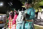 Salah-satu-pertunjukan-dalam-F8-Makassar-yakni-fashion-show-kucing.jpg