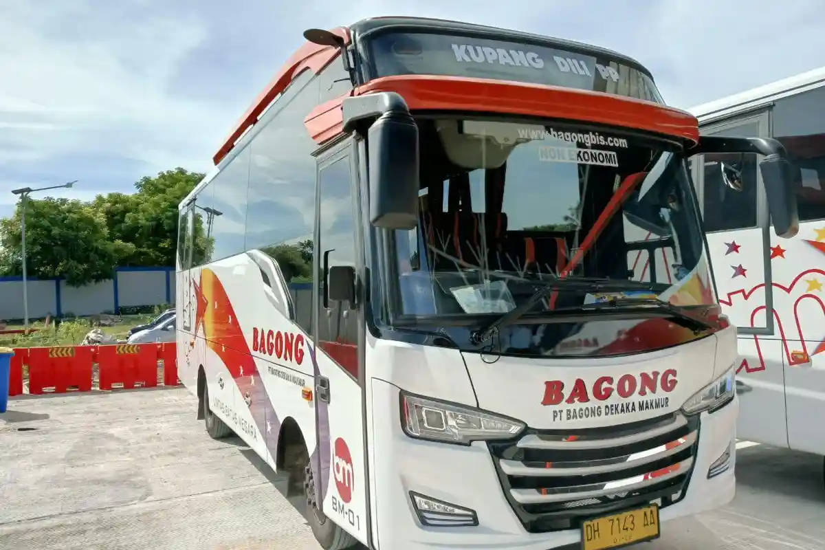 Jelang Natal dan Tahun Baru, Damri Kupang Siapkan 4 Bus Rute Kupang-Timor Leste