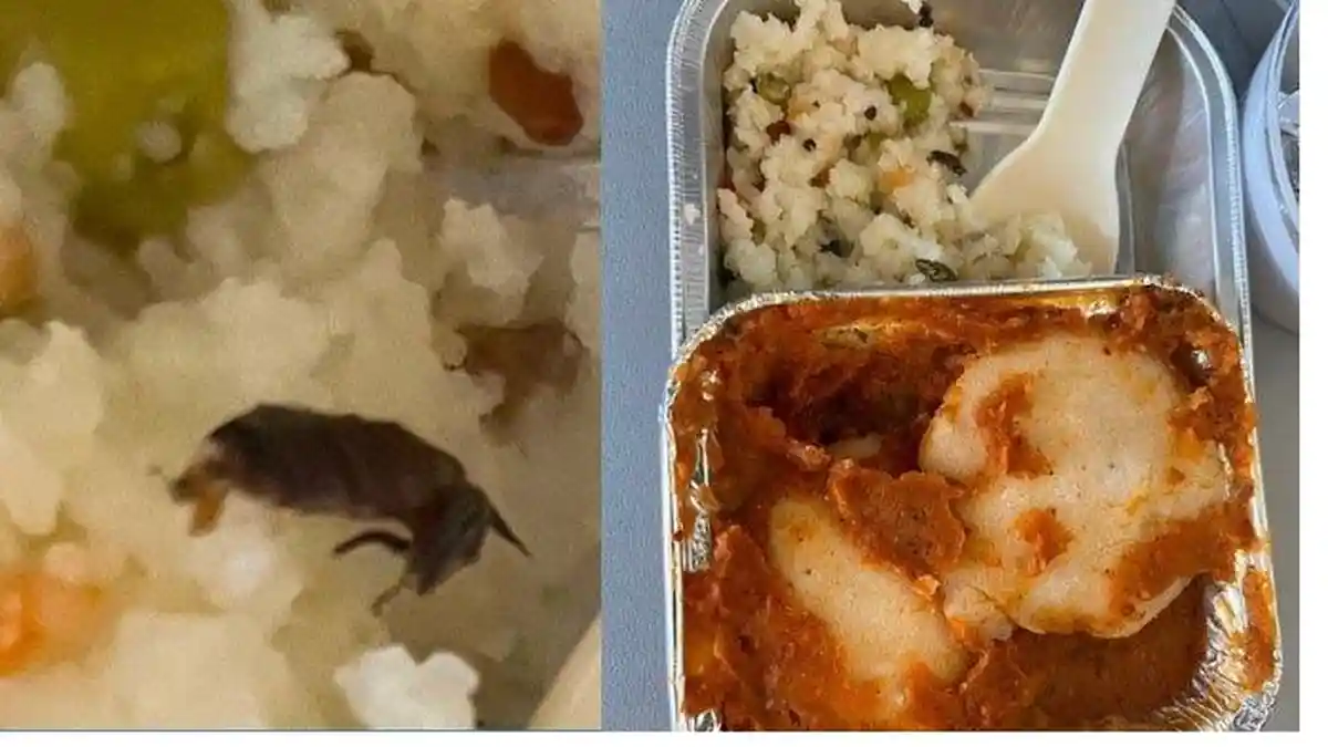 Penumpang Pesawat Temukan Hewan Berkumis di Makanan, Maskapai: Itu Bukan Kecoa Tapi Jahe Tumis