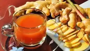 ilustrasi-jamu.jpg