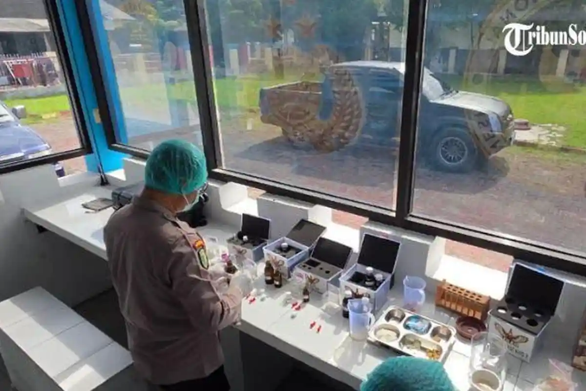 Anggur Hijau untuk MBG di Sukoharjo Ditemukan Terkontaminasi Sianida