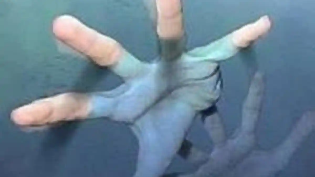 Siswa Sekolah Alam Tewas Tenggelam di Kolam Renang