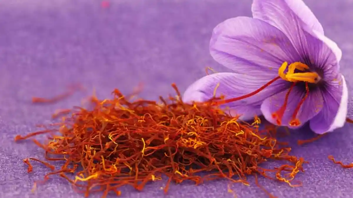 Mengenal Saffron, Bumbu Masak yang Harganya Rp11 Juta