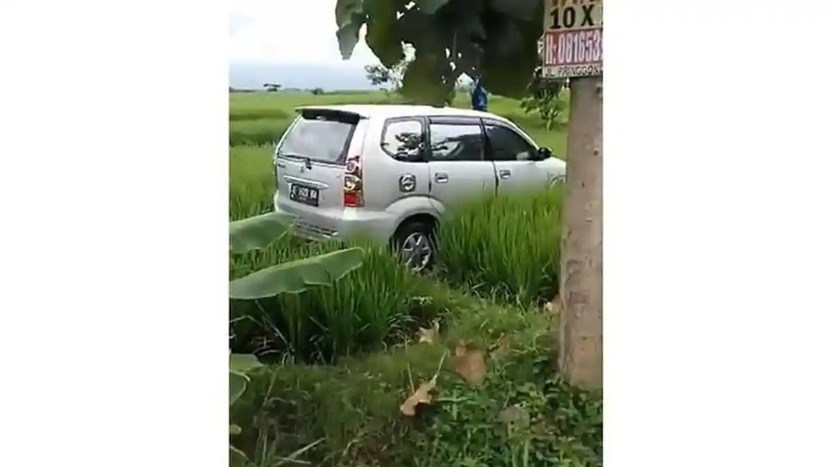 Mobil Masuk Sawah Dikaitkan dengan Hal Mistis, Begini Penjelasan Polisi