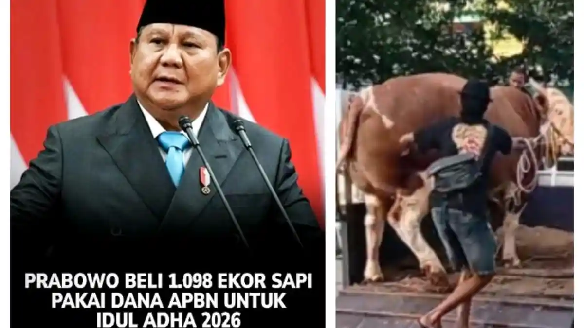 Tanggapan Golkar Polemik 1.098 Sapi Kurban Presiden Prabowo 100 Miliar Diambil dari APBN