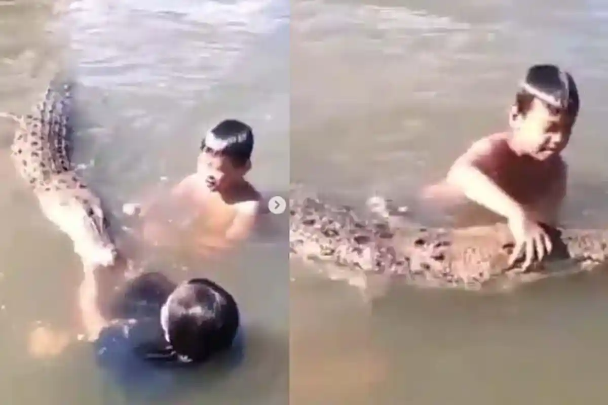 MUJA Hewan yang Selamat dari Pengeboman Perang Dunia II dan NATO, Masih Hidup di Kebun Binatang