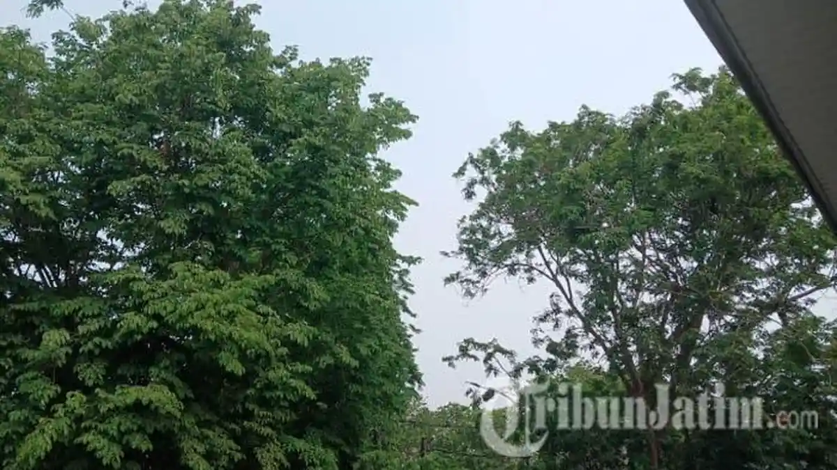 Ramalan Cuaca Jawa Timur Jumat 30 Oktober 2026, Waspada Hujan di Trenggalek, Mojokerto hingga Malang