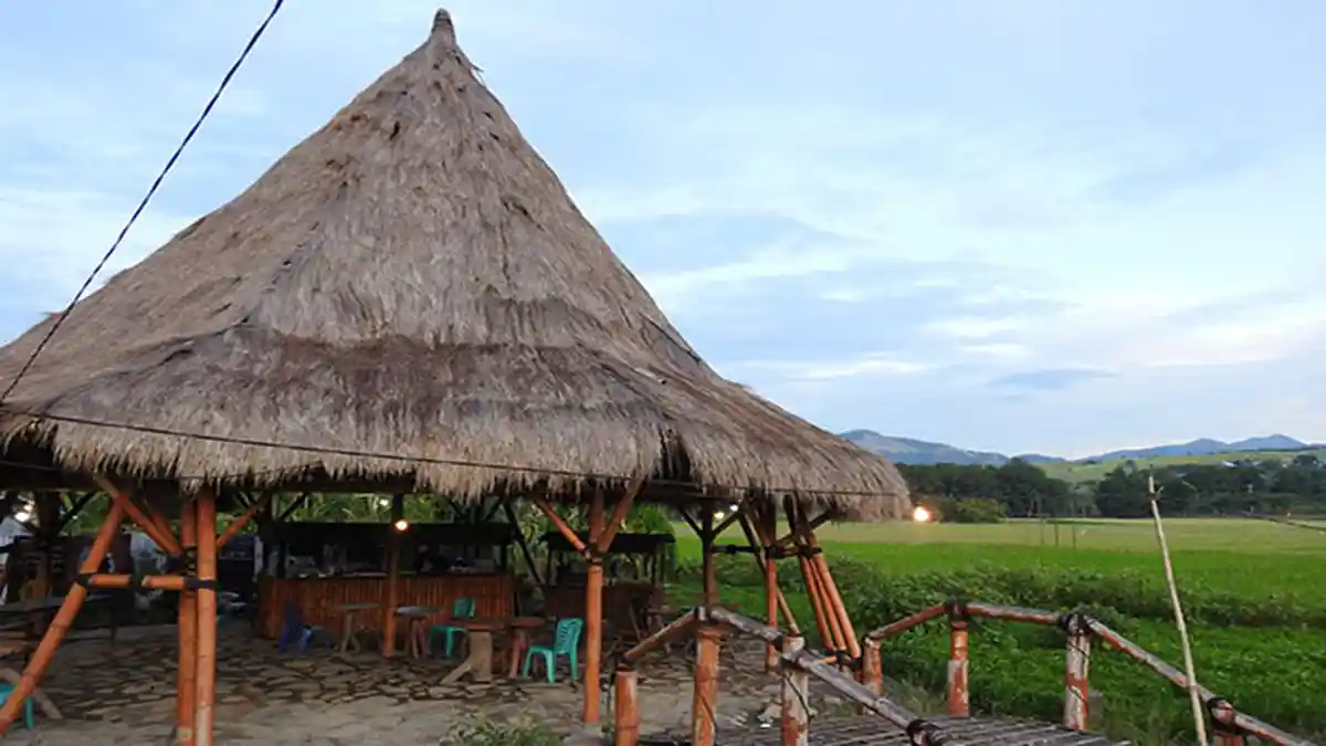 Angkringan Uma Lape di Nagekeo Tawarkan Panorama Sawah