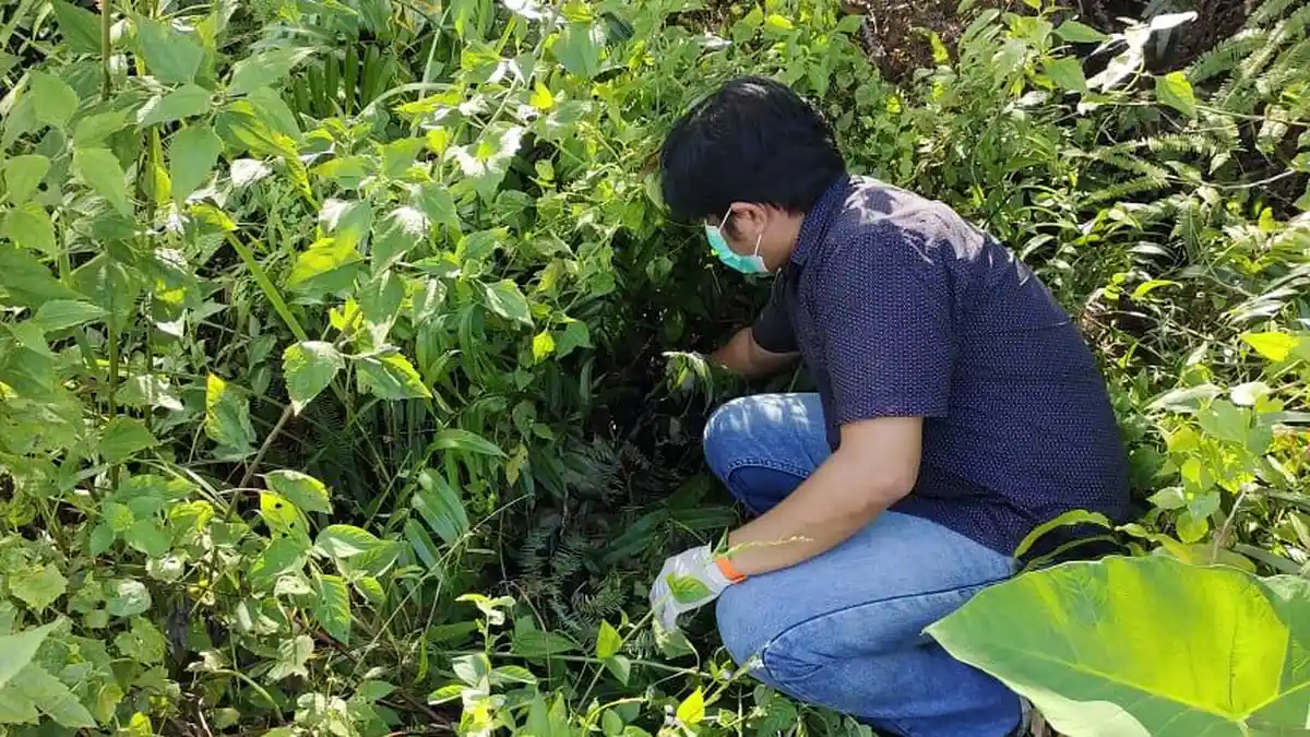 Temuan Mayat Bayi Dalam Kantong Plastik, Polres Melawi Bekerja Keras untuk Ungkap Kasus