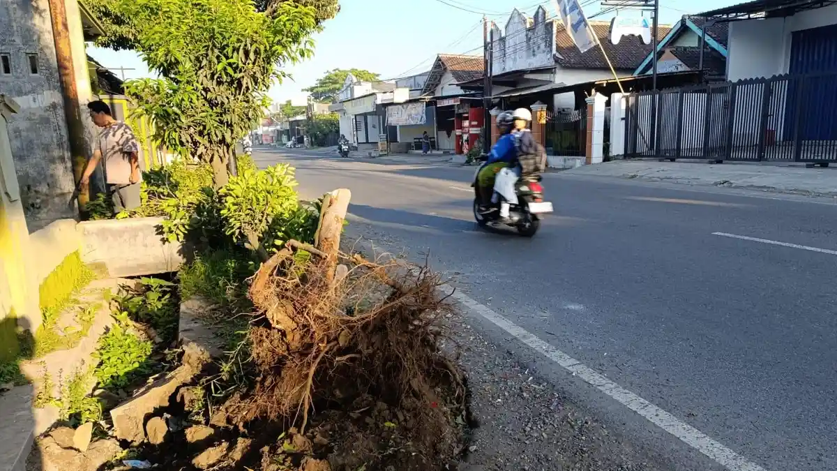 Pelaku Tabrak Lari Dihajar Warga dan Mobil Dirusak di Jl Raya Desa Tlogo Kanigoro Blitar