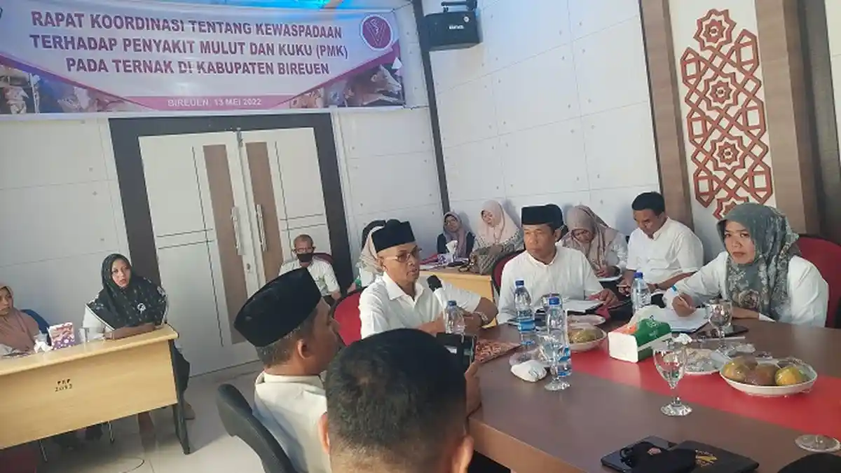 Ternak Terindikasi PMK di Bireuen Bertambah, Sebagian Sudah Sembuh