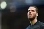 Everton vs Manchester United 1-1, Ancelotti Diusir Wasit