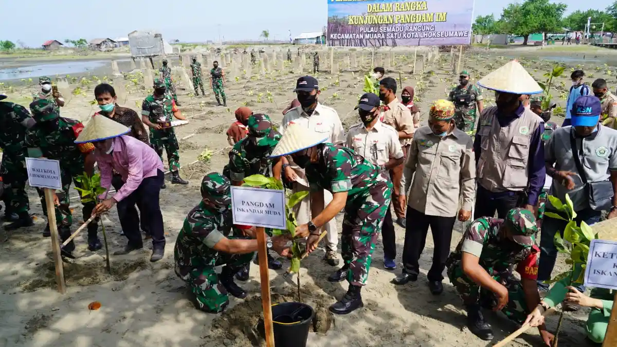 Pangdam IM Tanam 1000 Mangrove di Pulau Seumadu