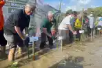 Direksi Kalla dan Bupati Pangkep Rela Nyebur Tanam Mangrove, Naik Jolloro Demi Kepiting dan Warga  