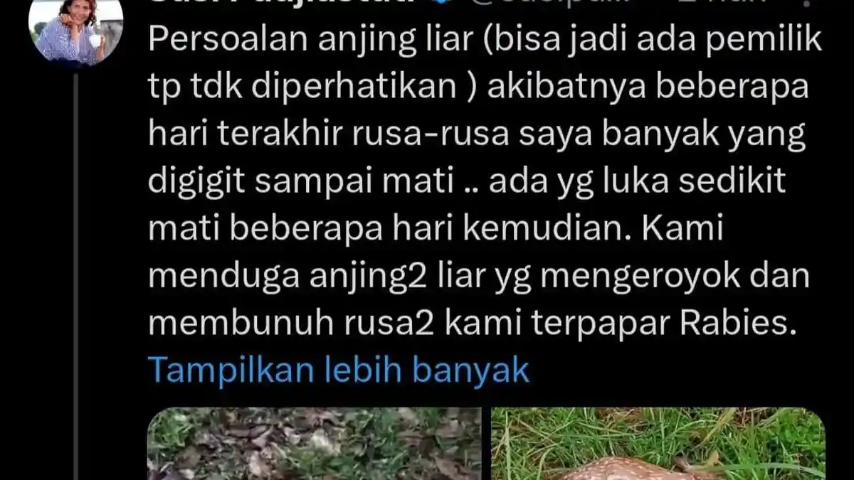 Susi Pudjiastuti Ungkap Rusanya di Pangandaran Mati Diserang Anjing: Lapor Tidak Ada Respons