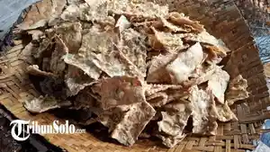 Keripik-tempe-benguk-Wonogiri.jpg