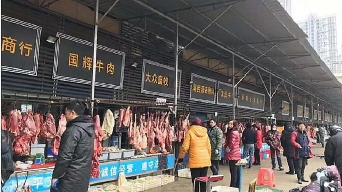 POPULER- Asal Virus Corona Akhirnya Terungkap! Bukan dari Sup Kelelawar Melainkan dari Tempat Ini