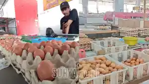 Harga-telur-di-Kota-Blitar-masih-mahal-Rp-29000-per-kilogram.jpg