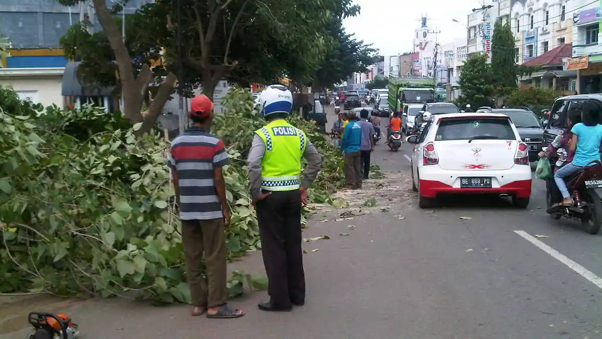 (FOTO) Ganggu Lalu Lintas, Disbertam Tebang Pohon di Samping RS Graha Husada