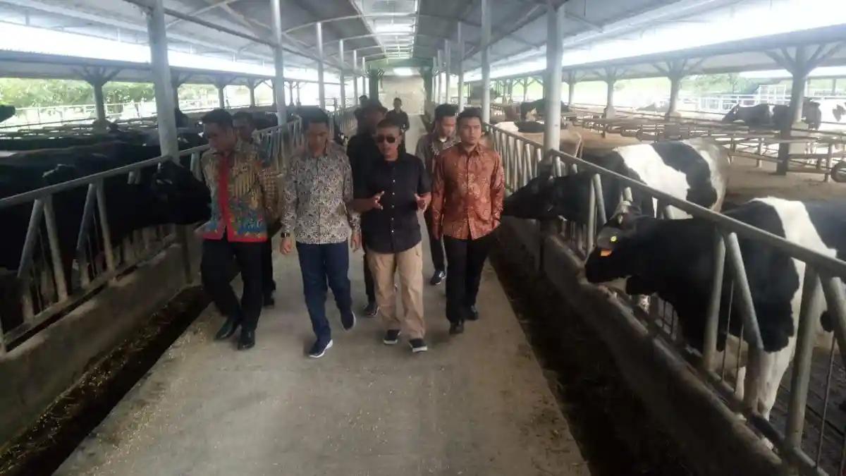 HPW Gandeng HMI Latih Masyarakat Kembangkan Budidaya Lele dan Sapi Perah