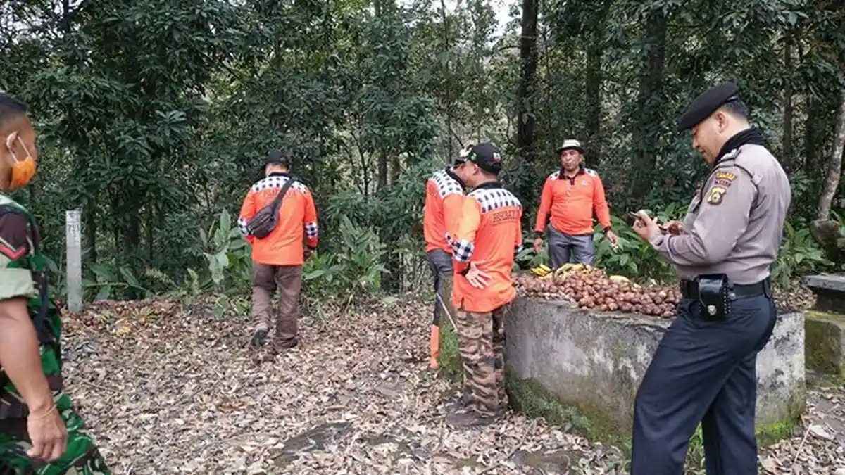 Diduga Cadangan Makanan di Gunung Agung Sudah Habis, Gerombolan Kera Rusak Tanaman Warga