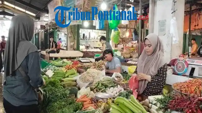 Tribun