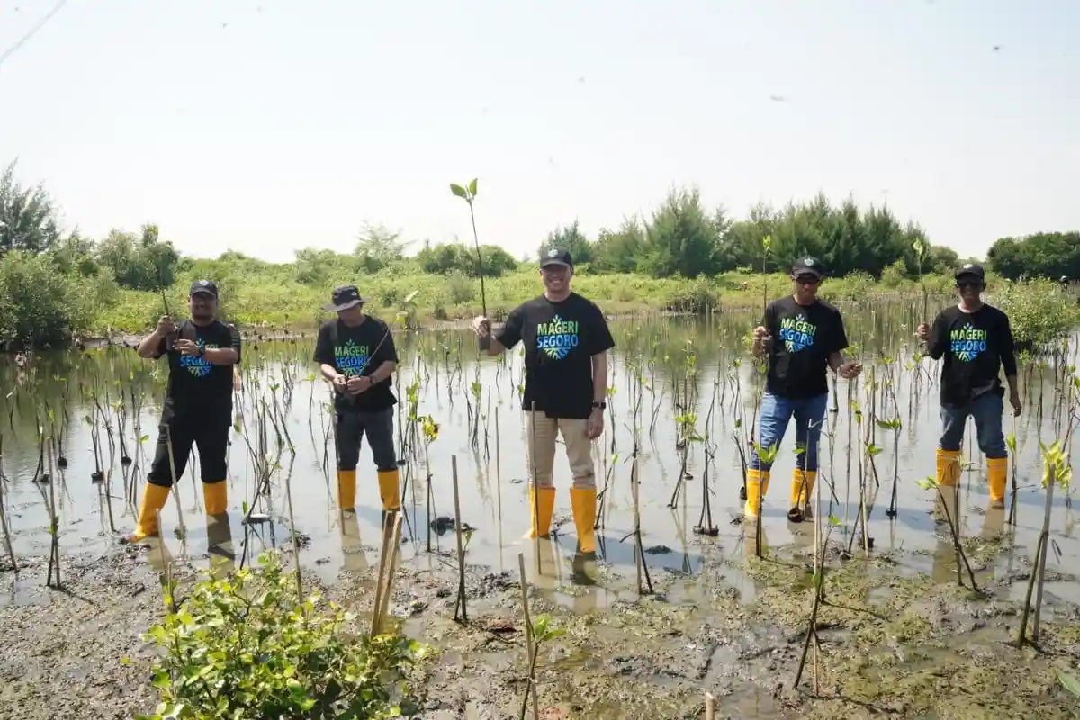 PLN UID Jateng-DIY Rehabilitasi Mangrove Pantai Lewat Program Mageri Segoro