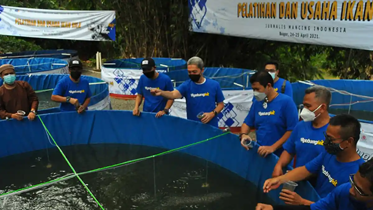 Komunitas Jurnalis Mancing Indonesia Adakan Pelatihan Budidaya Ikan Nila di Bogor