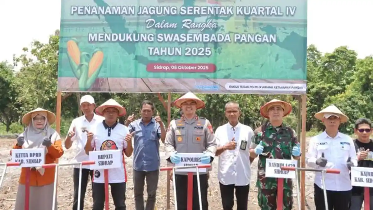 Sidrap Gelar Penanaman Jagung Serentak Kuartal IV, Komitmen Realisasi Swasembada Pangan