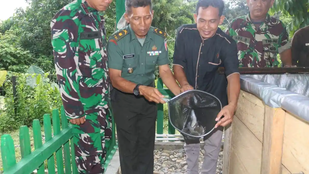 Kodim 1509 Labuha Halmahera Selatan Panen Ikan Lele Hasil Budidaya