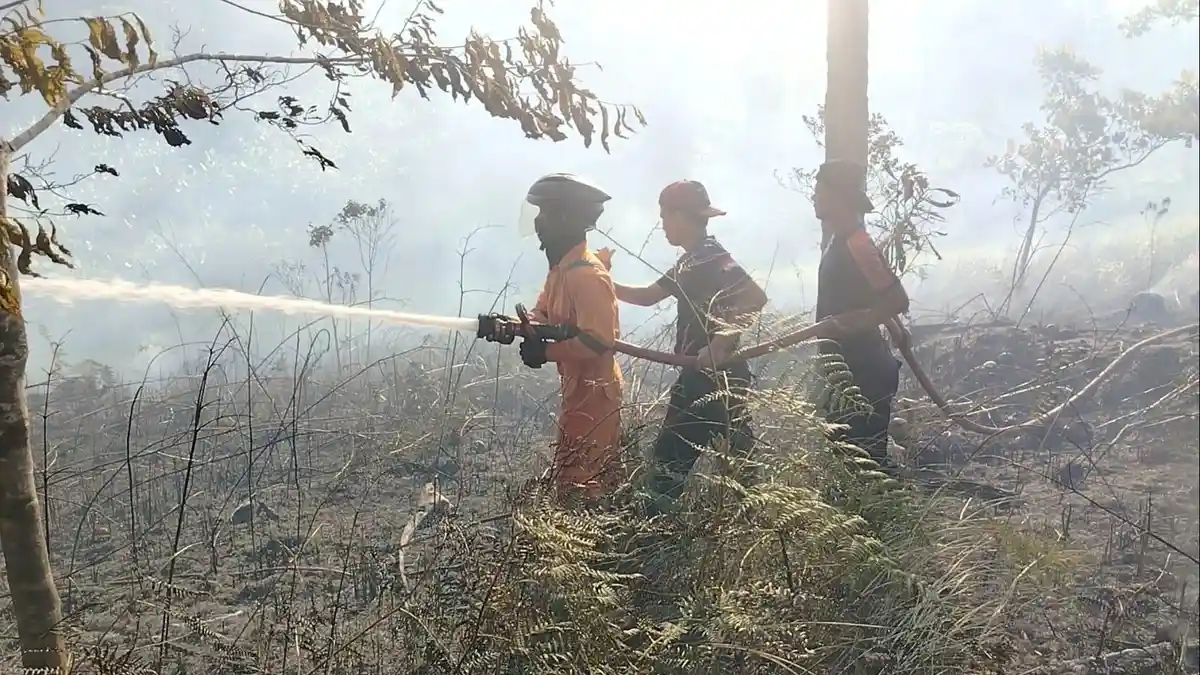 Hampir 1 Jam Damkar Padamkan Api Kebakaran Lahan Dekat Masjid Agung Baitul Izzah Natuna