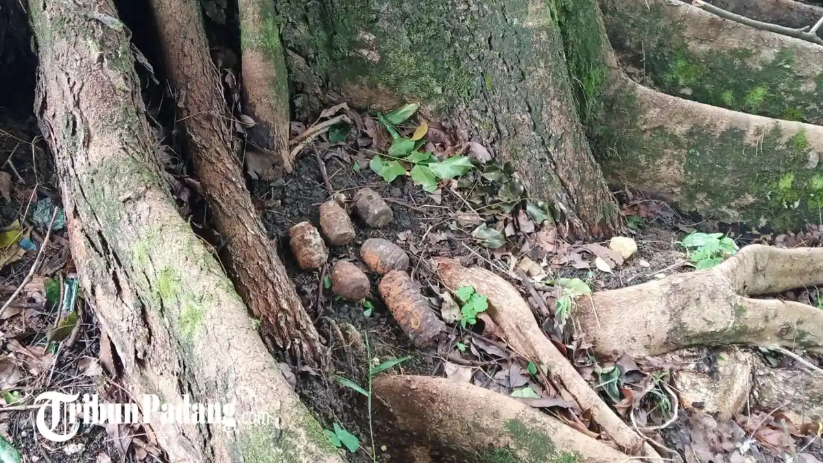 BREAKING NEWS: 6 Granat Ditemukan di Taman Raya Bung Hatta Padang
