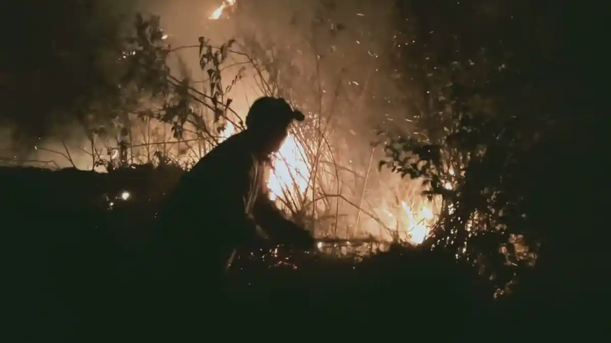 Kebakaran Hutan di Toba, Belum Ada Petugas Kehutanan Muncul di Lokasi