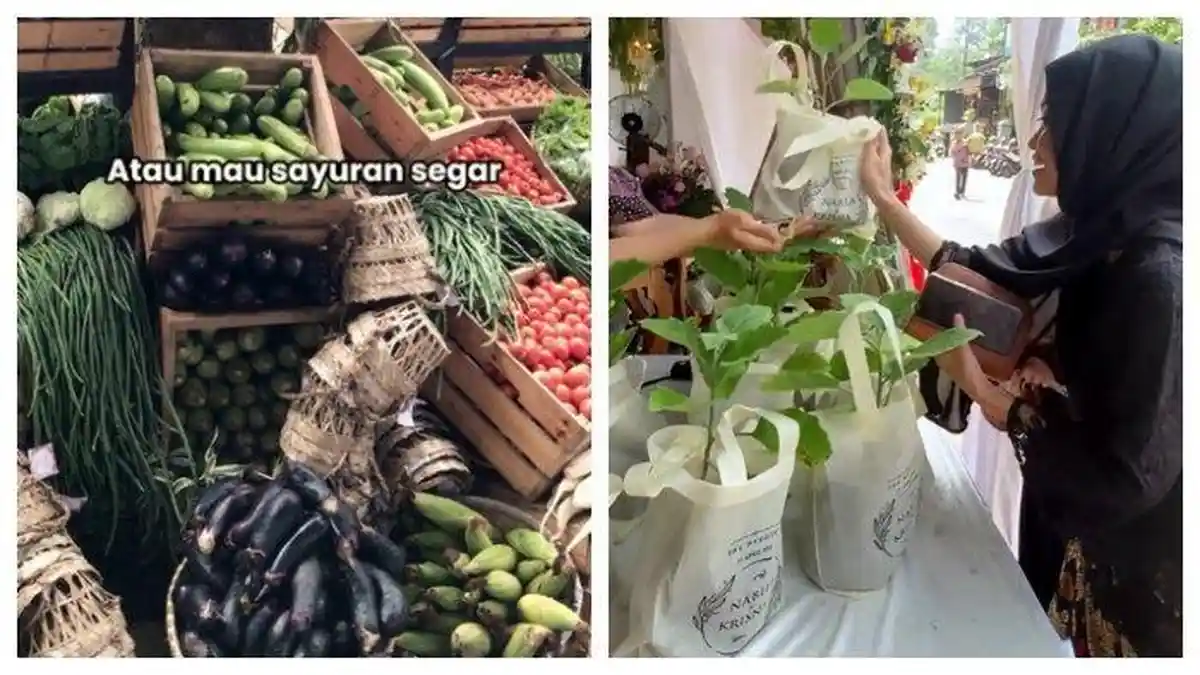 Pernikahan di Semarang Viral karena Souvenir Sayuran dan Bibit Tanaman yang Segar