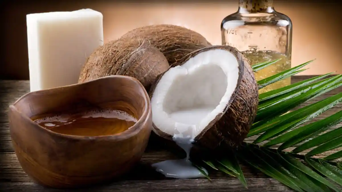 7 Perawatan Minyak Kelapa Ini Ampuh Buat Kulitmu Semakin Sempurna