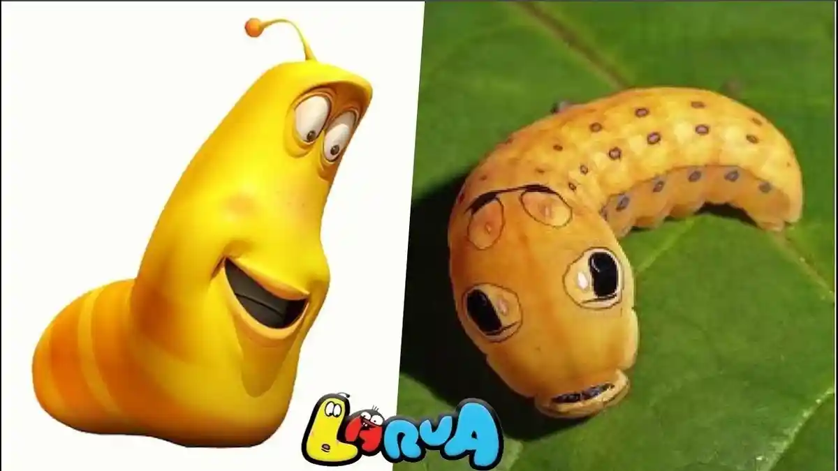 Jadi Tontonan Anak-anak, Ternyata Begini Bentuk Asli Karakter Kartun Larva, Lucu Tapi 'Geli'
