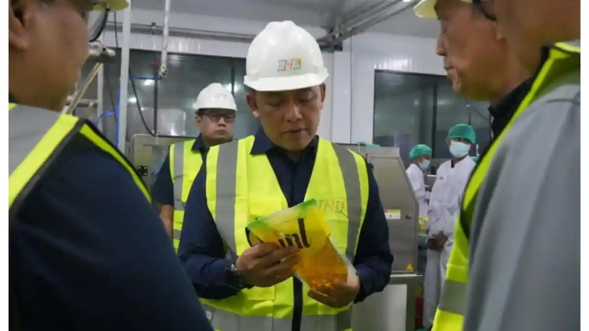 Ekspansi, PalmCo Percepat Distribusi Minyak Goreng ke Indonesia Timur