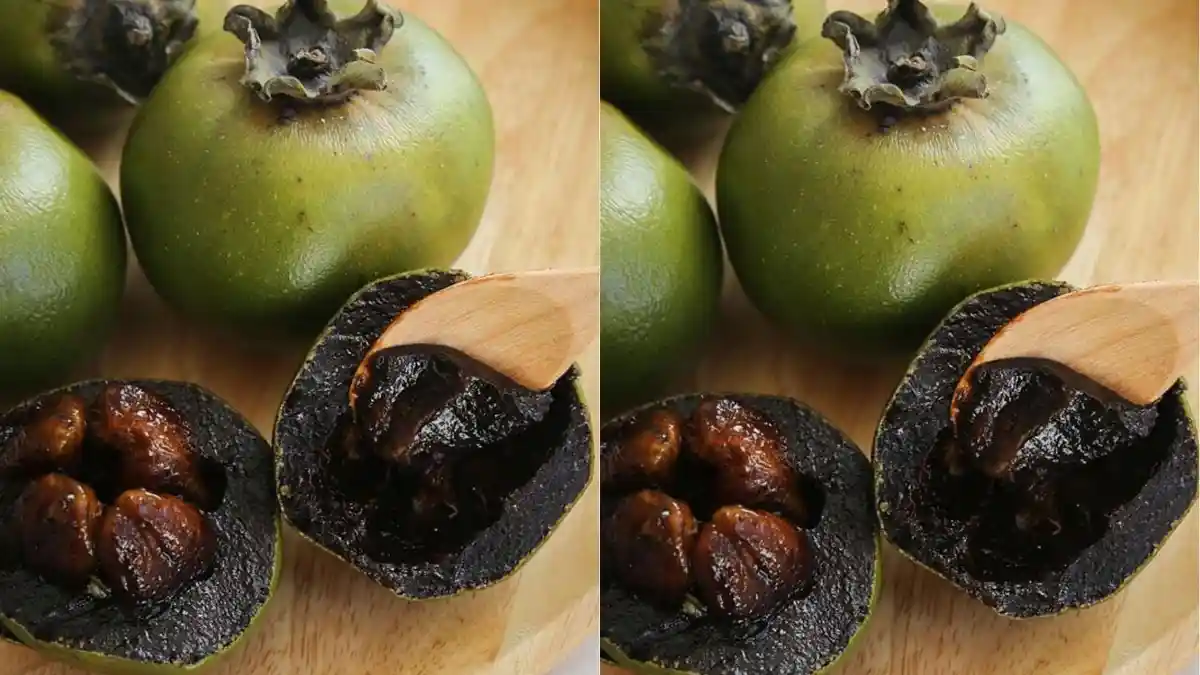 Mengenal Sawo Hitam, Banyak Mengandung Vitamin hingga Disebut Buah Mahal
