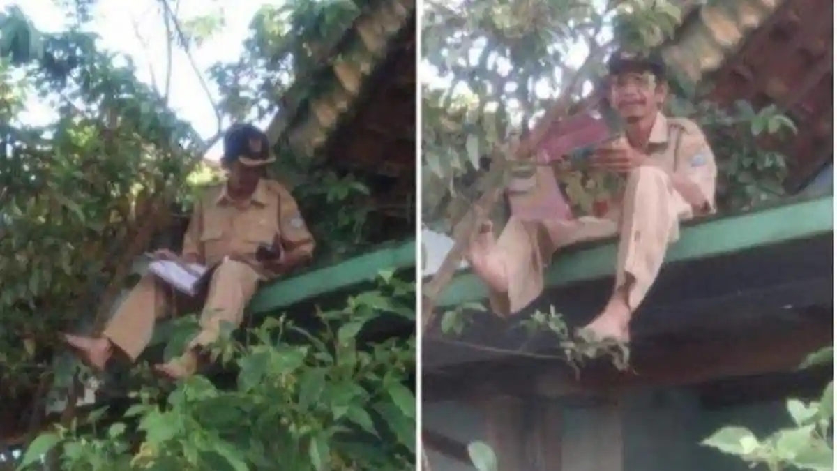 Internet Lemah, Guru di Sumsel Ini Harus Panjat Atap Rumah saat Mengajar Daring