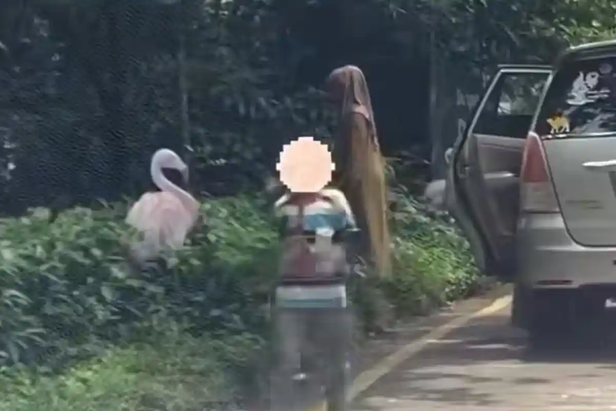 Nekat Turun dari Mobil di Area Terlarang, Keluarga Ini Masuk Black List Taman Safari Bogor